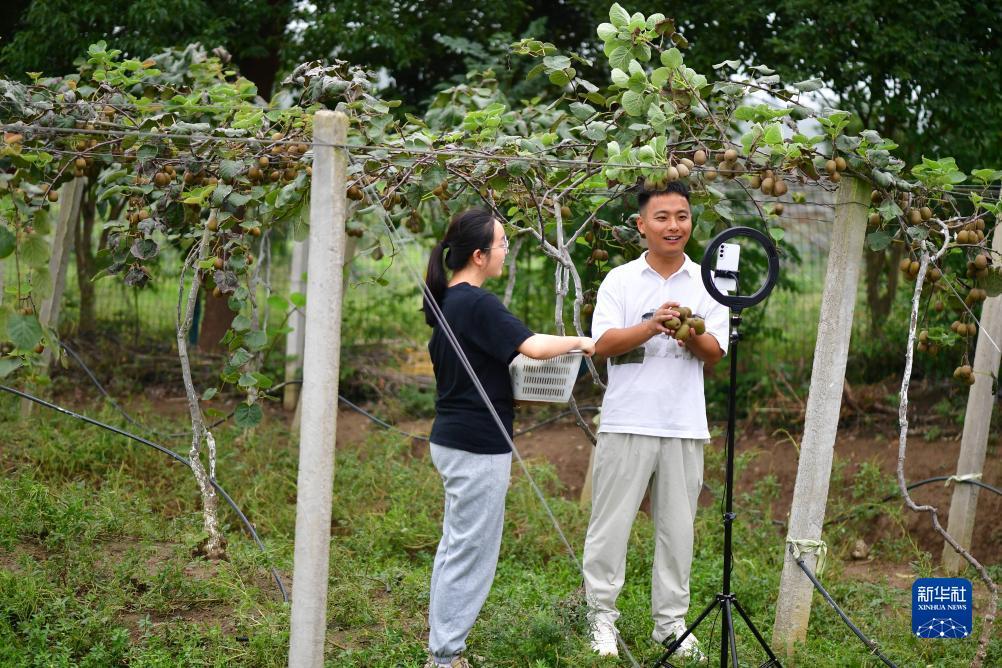 夺宝中华游戏入口